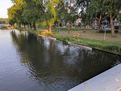 boten-aan-de-kant-midzomernacht-at-15-23-19 boten-aan-de-kant-midzomernacht-at-15-23-19